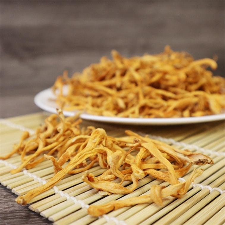 美國 美國九龍堂 頂級煲湯聖品蟲草花/金蟲草4oz 煲湯菌菇提鮮 3