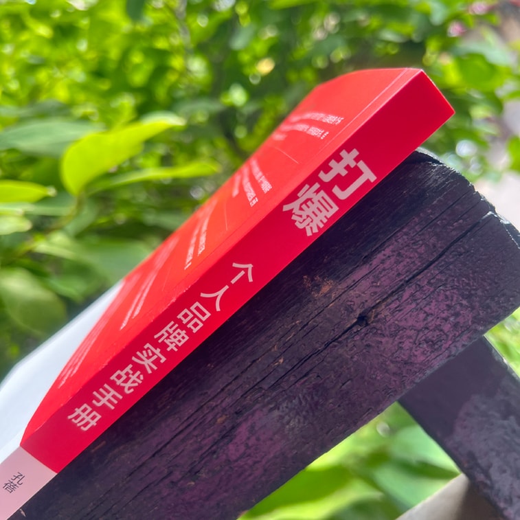 【中國直郵】I READING愛閱讀 打爆:個人品牌實戰手冊 4