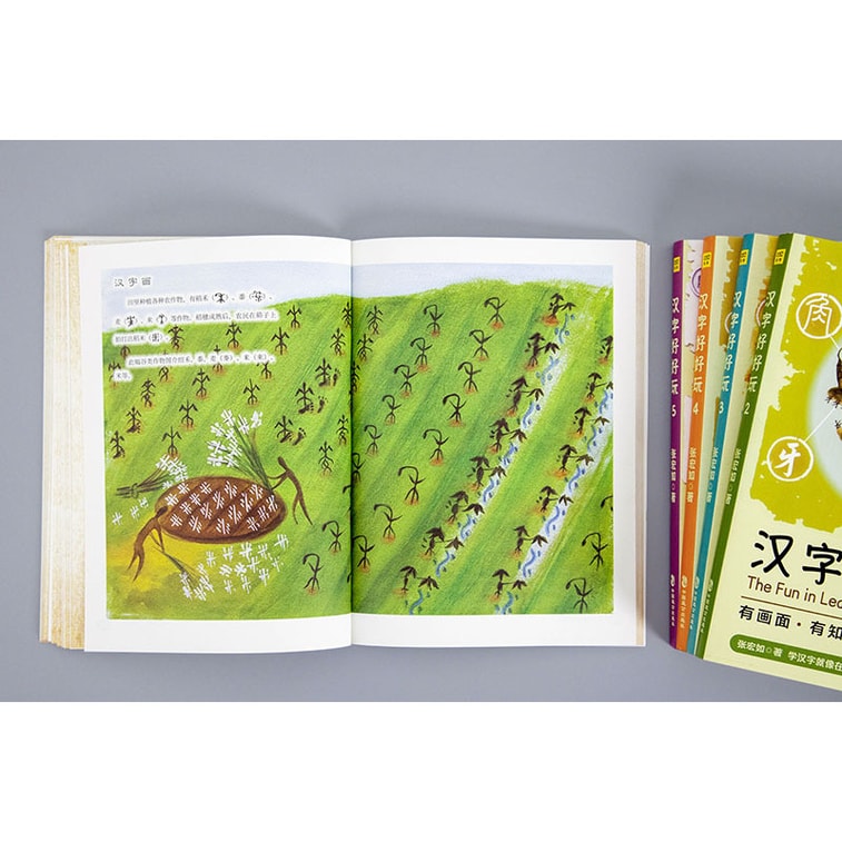 汉字好好玩(套装共5册)京东定制看图猜字小册子 5