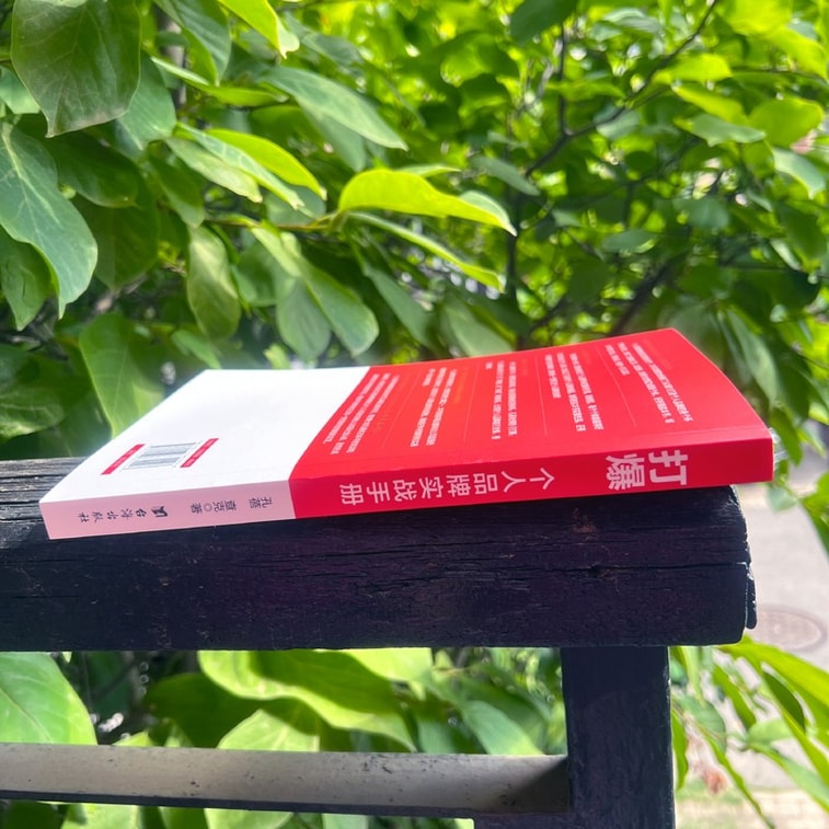 【中國直郵】I READING愛閱讀 打爆:個人品牌實戰手冊 5
