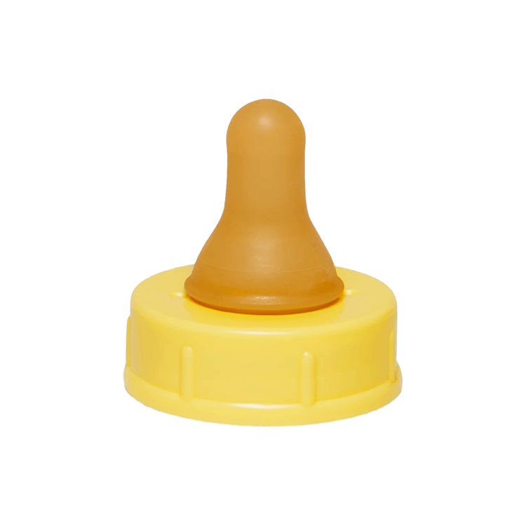 Product Detail - Replacement Baby Bottle Nipple (Fast) - image 1