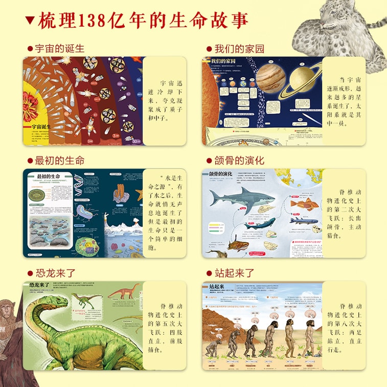 【中國直郵】I READING愛閱讀 生命簡史:從宇宙起源到人類文明 4