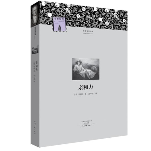 名著名译·外国文学经典:亲和力