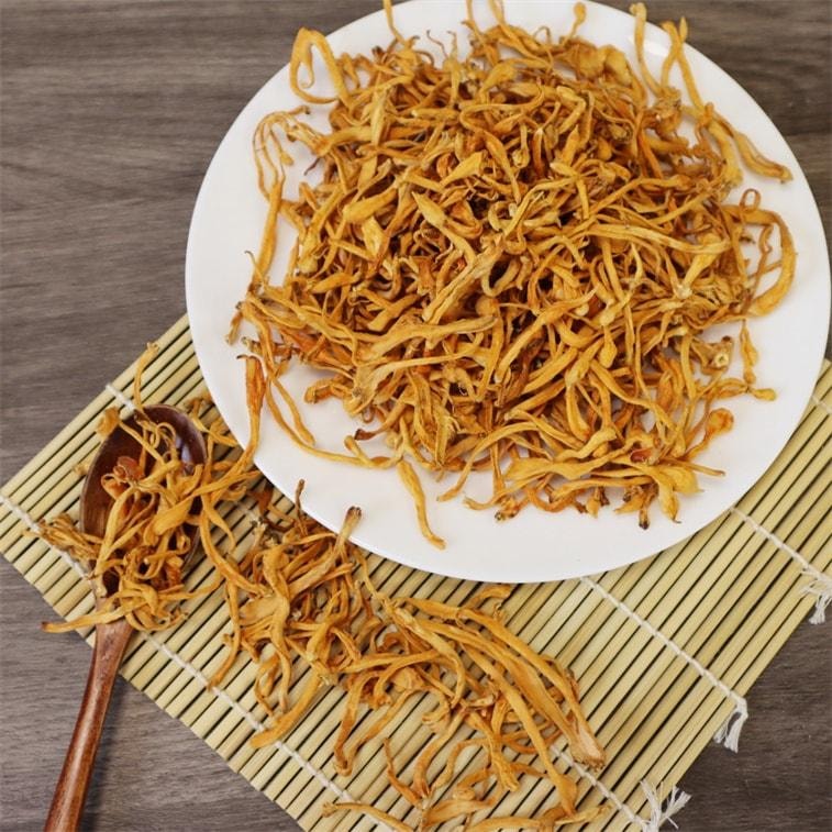 美國 美國九龍堂 頂級煲湯聖品蟲草花/金蟲草4oz 煲湯菌菇提鮮 4