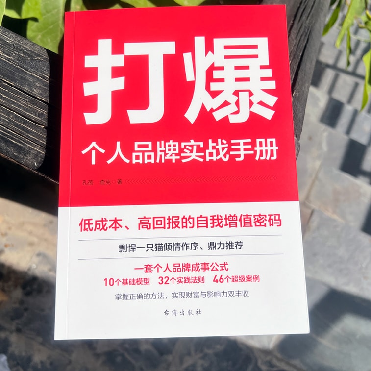 【中國直郵】I READING愛閱讀 打爆:個人品牌實戰手冊 3