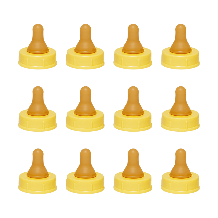 Product Detail - Replacement Baby Bottle Nipple (Fast) - image 2