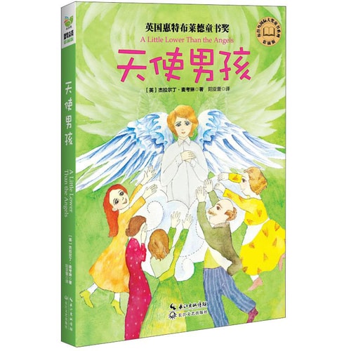 布谷鸟国际大奖童书系列:天使男孩(彩插版)
