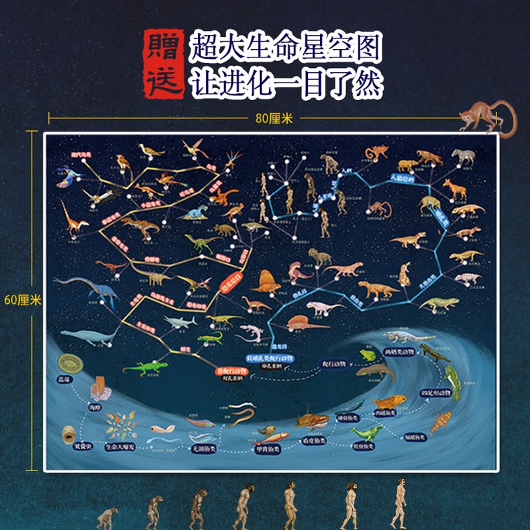 【中國直郵】I READING愛閱讀 生命簡史:從宇宙起源到人類文明 7