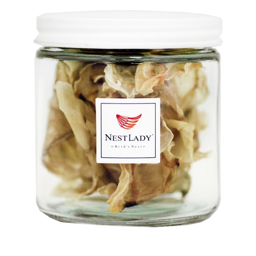 NESTLADY Fish Glue 30g