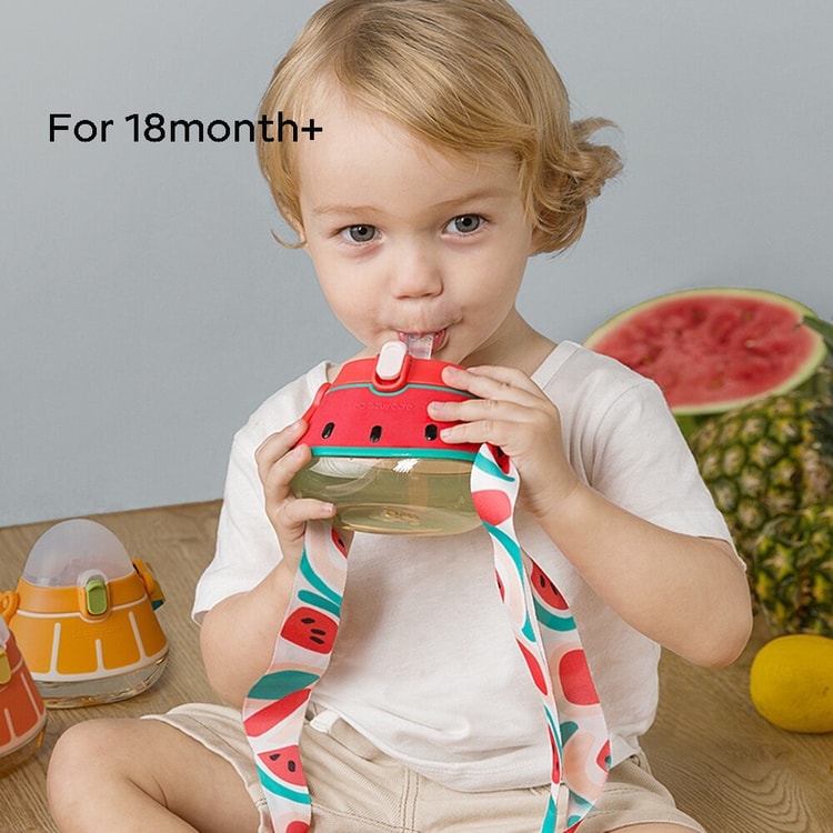 Watermelon Sippy Cup