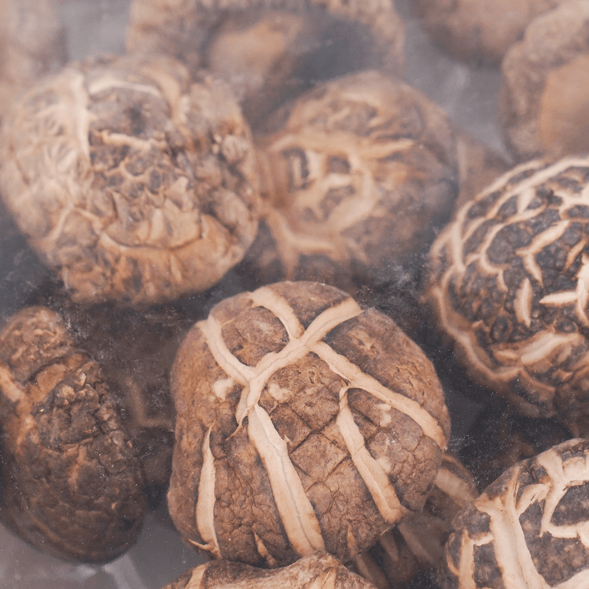 元初食品茶花菇礼盒 亚米