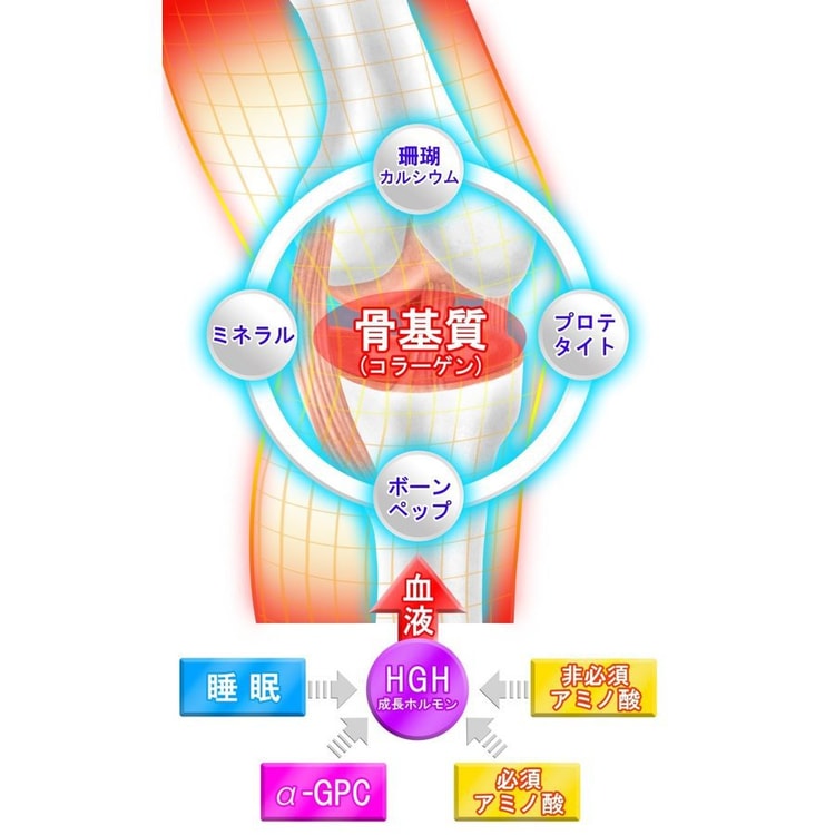 日本直邮] GH CREATION 日本增高最新版防伪贴标骨骼增长营养补钙片EX