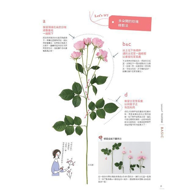 【繁體】花藝達人精修班:初學者也OK的70款花藝設計