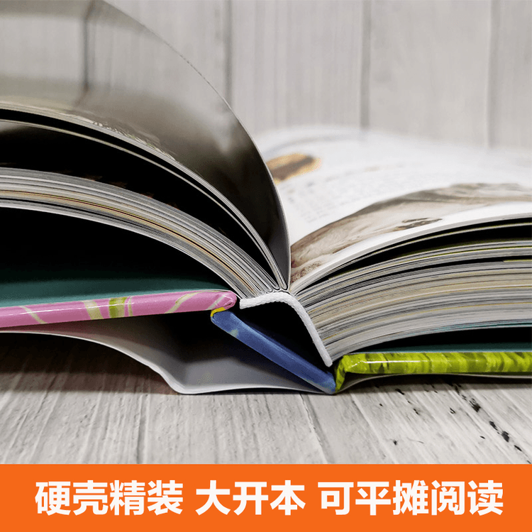 中国大百科全書　中国文学　1-2 精装本 中国大百科全書 中国文学 1-2 精装本
