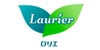 Laurier 乐而雅||超吸收特多量夜用护翼卫生巾||37CM 14片 | 亚米