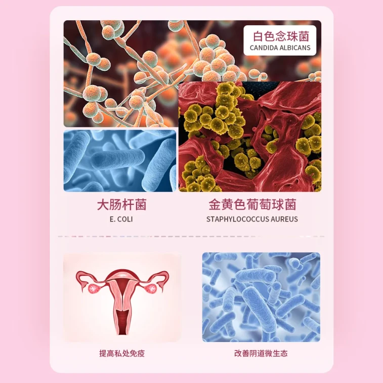 Active Lactobacillus Antibacterial Powder 0.3g×8 Capsules – 24 Billion Probiotics for Vaginal Flora Balance & Intimate Health 3