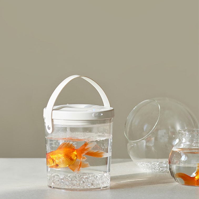 New Small Wireless Oxygenating Goldfish Tank for Desktop, Office, and Outdoor Use 7