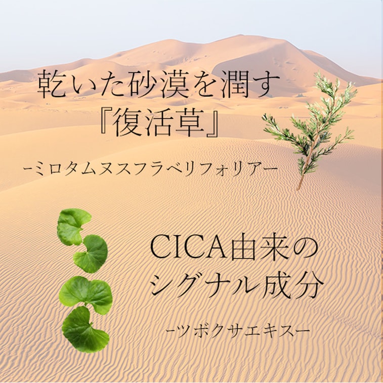 【日本直邮】 日本 NaturalShop 本土院线 HTC高浓度 复活草干细胞面膜 10片装 3