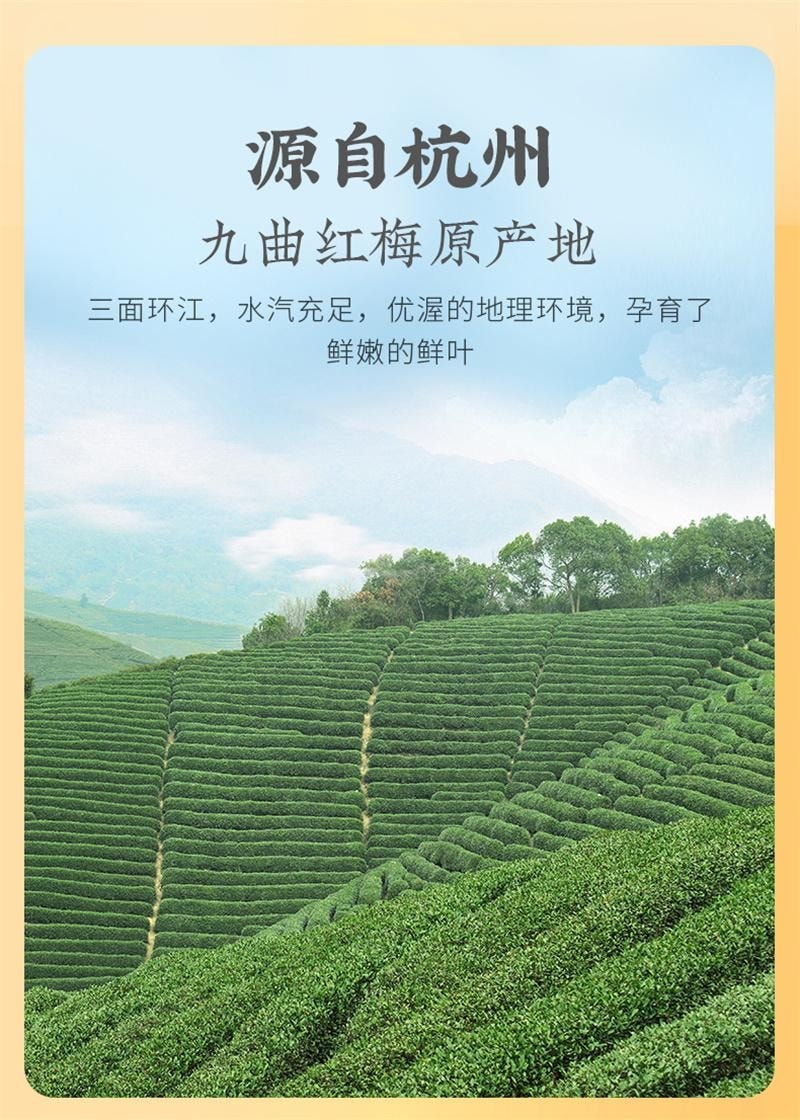 【中国直邮】 狮峰茶叶 桂花红茶九曲红梅茶叶杭州特产正宗龙井茶原产地优选 150g/盒