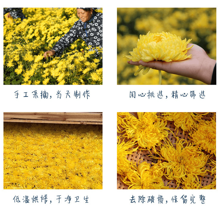 采悠山庄 黄山金丝皇菊罐装 大朵菊花茶 20g【降火祛燥 清肝明目】 3