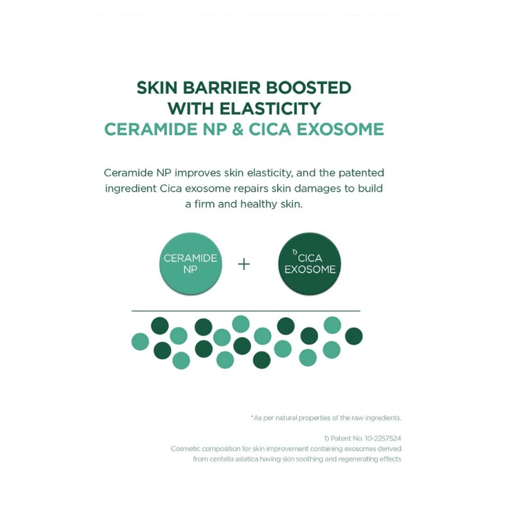 skin1004 Madagascar Centella Teatrica B5 Cream 75ml 4