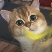 亚米UGC圖片