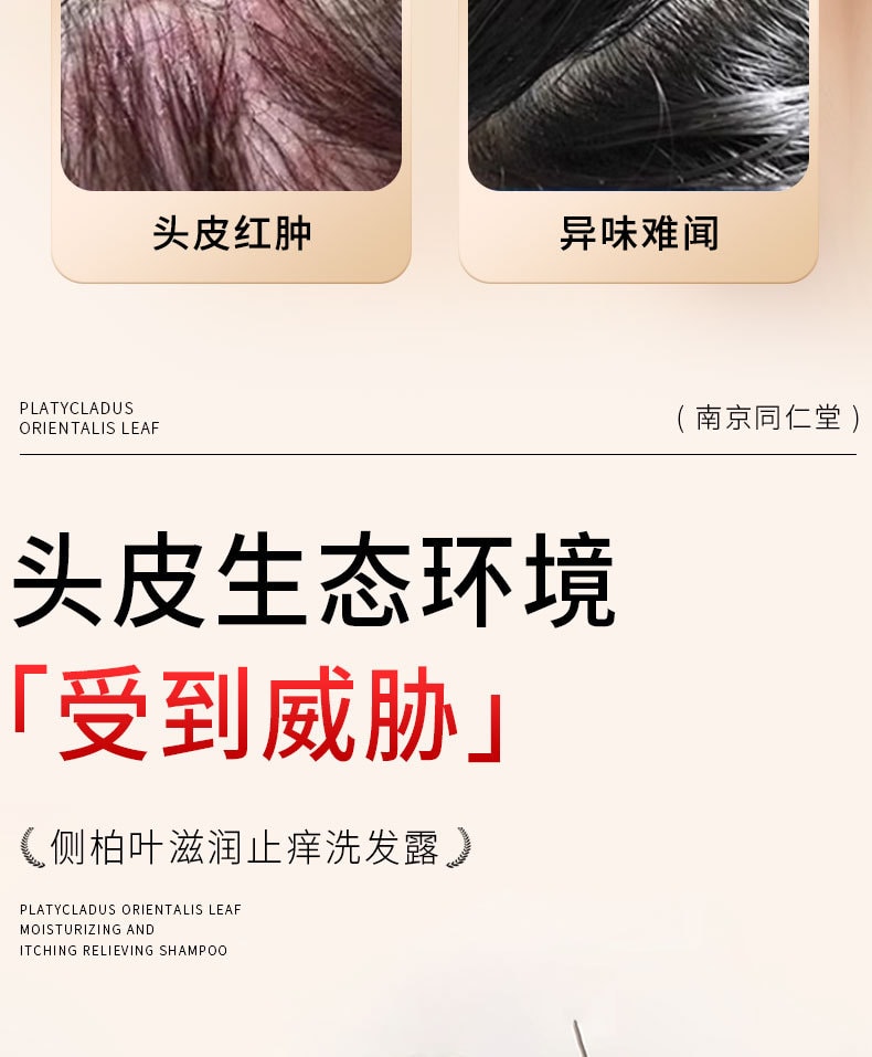 南京同仁堂 側柏葉何首烏植物洗髮水生薑去屑止癢控油防掉脫純草本增密髮 帶走油脂和頭屑,洗完頭皮清爽不癢,髮絲蓬鬆順滑,自帶健康光澤 400ml/瓶