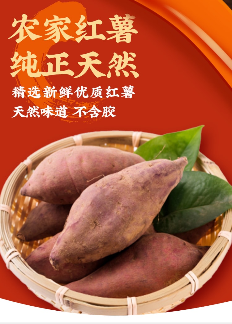 川娃子 【传统工艺制作不含胶】火锅宽粉 240g  粉丝粉条 苕皮 100%农家红薯粉条 速食火锅粉宽粉川粉 火锅食材【入口劲道 顺滑入口】