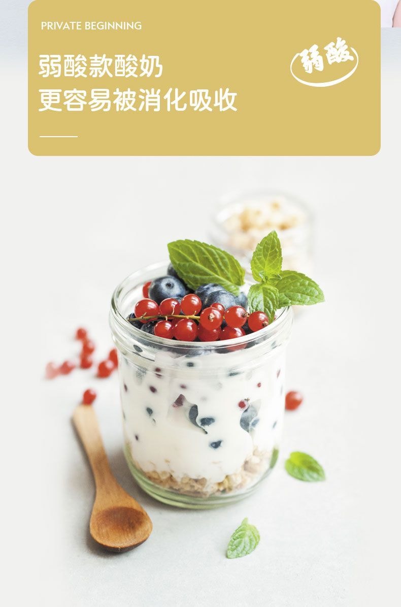 77 Fungi Homemade Yogurt Fermentation Powder Probiotics Yogurt Starter 10 Billion Live Bacteria [10 Packs Inside] 10g*per Bag