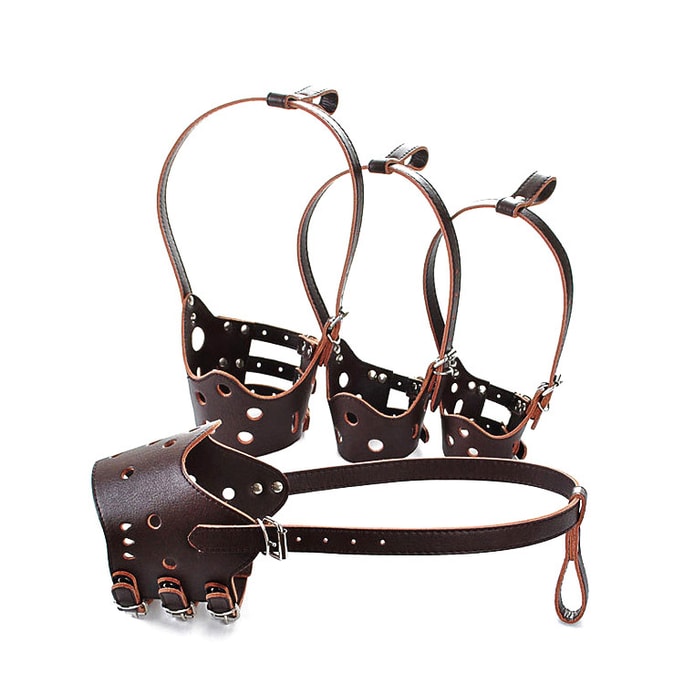 [중국발 다이렉트 메일] 큰 꼬리를 가진 야옹 애완견 입마개 브라운 XXL 애완동물 용품