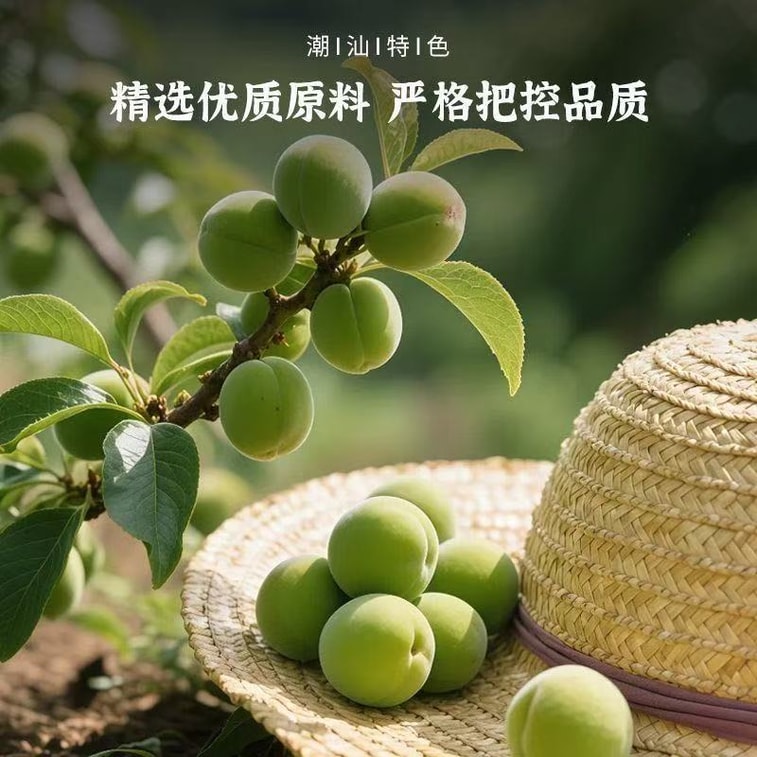 春江月 勁涼梅肉皇80g*1袋 薄荷梅肉 潮汕風味梅肉果脯蜜餞話梅果脯 3