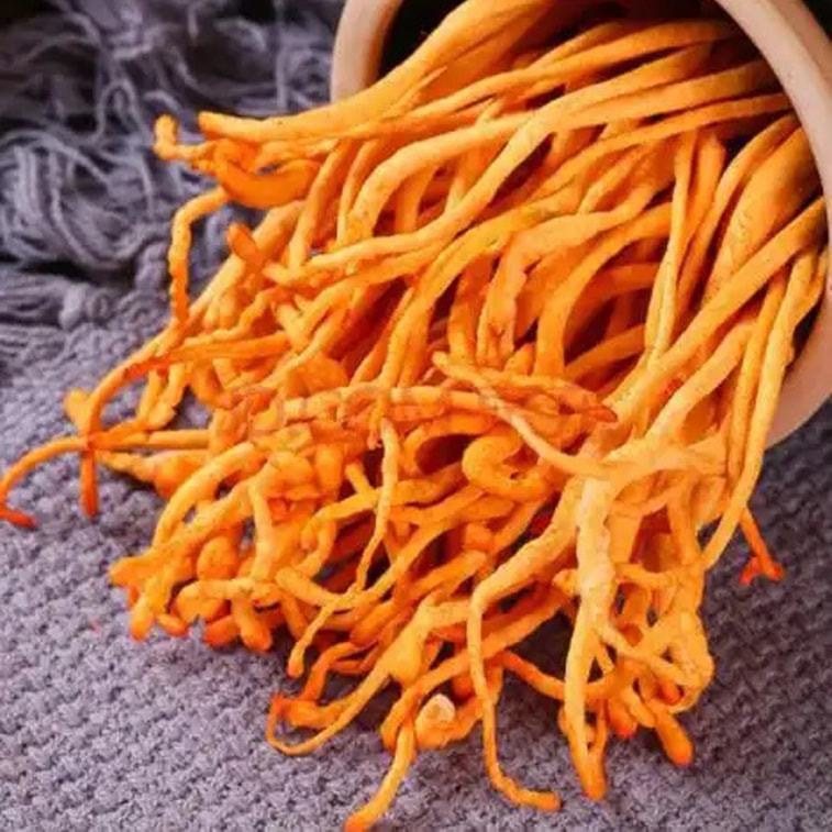 【Canada Direct Mail】 Sifanda 100g (3.53 oz) Dried Cordyceps, also known as Cordyceps Flower, Large Spore Head Golden Cordyceps, Stewing Soup Ingredient, Cold Mix, etc., Kitchen Seasoning Kitchen Ingredients 3