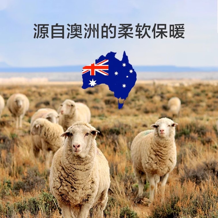 [중국 직배송] 뤄라이 두꺼운 겨울 이불 51% 호주산 수입 울 + 진드기, 진드기 방지 이불 One+ 200*230cm 3.9kg 흰색 상온 0℃ 이하에 적합 3