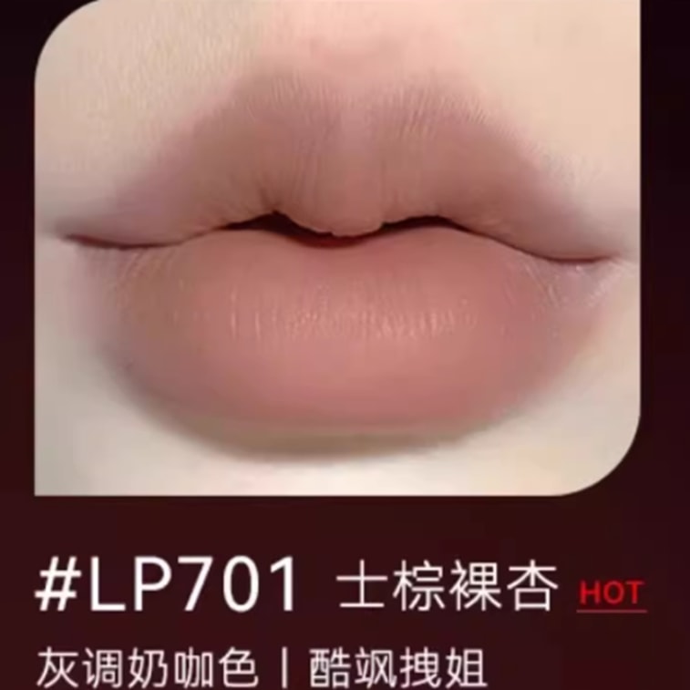 Dual-Ended Misty Pout Lip Liner 1 Piece, Lip Liner and Lipstick 2-in-1, Waterproof and Long-Lasting #LP701 Earthy Brown Nude Apricot Cool & Stylish 3