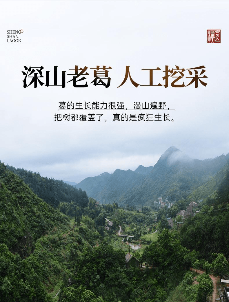 【中國直郵】 璞匠 純深山老葛粉江西特產早餐粉代餐粉葛根粉320g*1罐