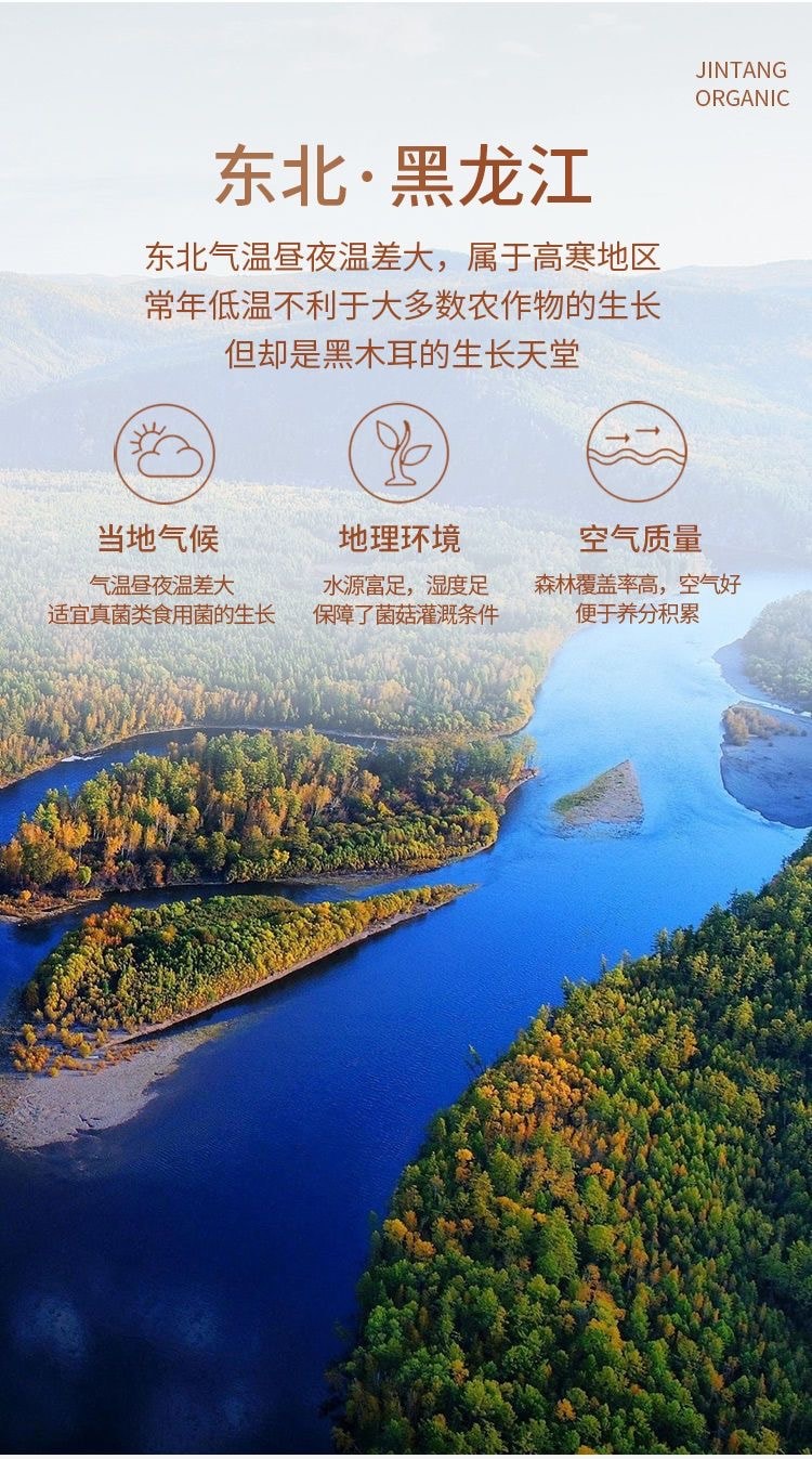 【中國直郵】 金唐 有機黑木耳食用菌黑木耳150g