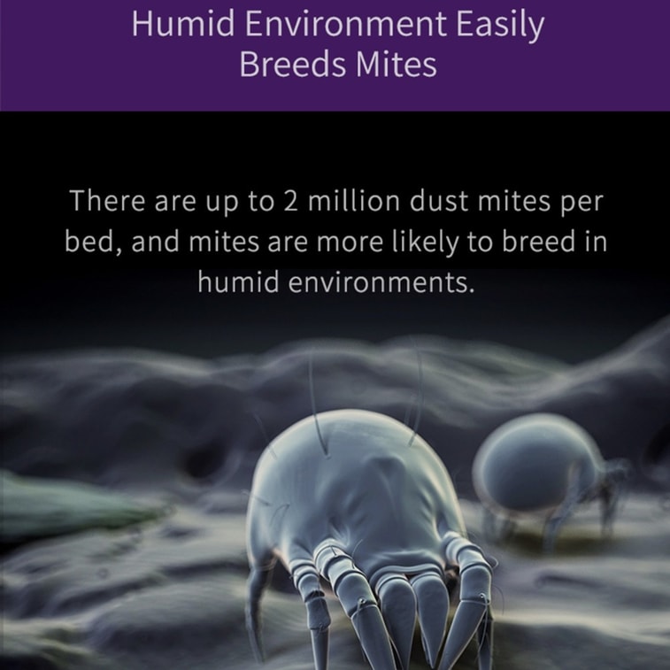 Mattress Vacuum Cleaner UV-C Light & High Heating 14Kpa Suction 480W Anti-Mites Dust & Pet Hair (JV35 Corded) 9