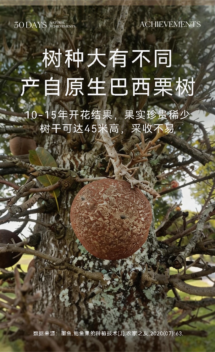 觅菓 富硒鲍鱼果仁巴西坚果当季新货原味补硒大颗粒坚果零食AA+299g