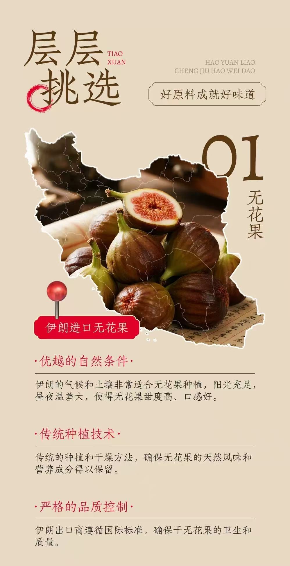 福满棚 元气黄芪党参无花果派 添加黑芝麻桑葚干核桃 200g【低卡宝藏解馋小零食】健康零食无添加营养代餐 软糯香甜低脂 独立包装