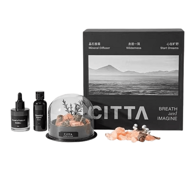 [중국에서 직접 메일] CITTA Wilderness 시크릿 아로마테라피 선물 상자 확장 스톤 홈 향수 장식품 친구 및 절친 생일 선물 한정판 공동 브랜드 - Mountain Sandalwood