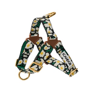 引っ張らないペット犬用ハーネス ビッグフィッシュ M ネックライン39~45cm 胸囲44~51cm 5~8kg