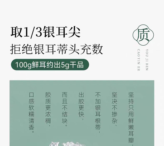 【中國直郵】 璞匠 有機本草銀耳 100g*1罐