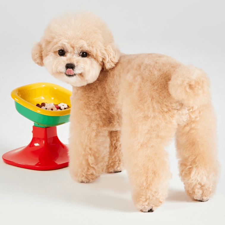 세라믹 웰핏볼 도그볼 펫볼 5