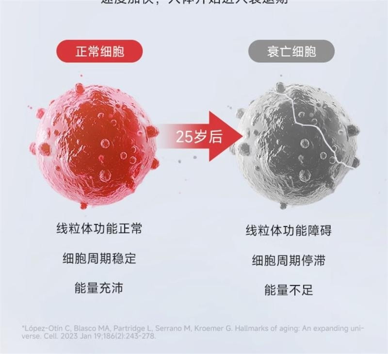 【中国直邮】 WONDERLAB 辅酶Q10保护心脏血管PQQ熬夜保健品软胶囊 60粒/瓶
