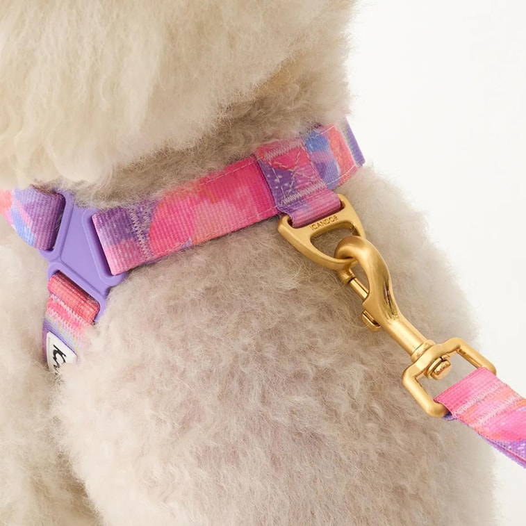 No-Pull Pet Dog Harness Milky Way L Neckline16.1~20.1in Chest20.1~25.2in 18~29lb 11