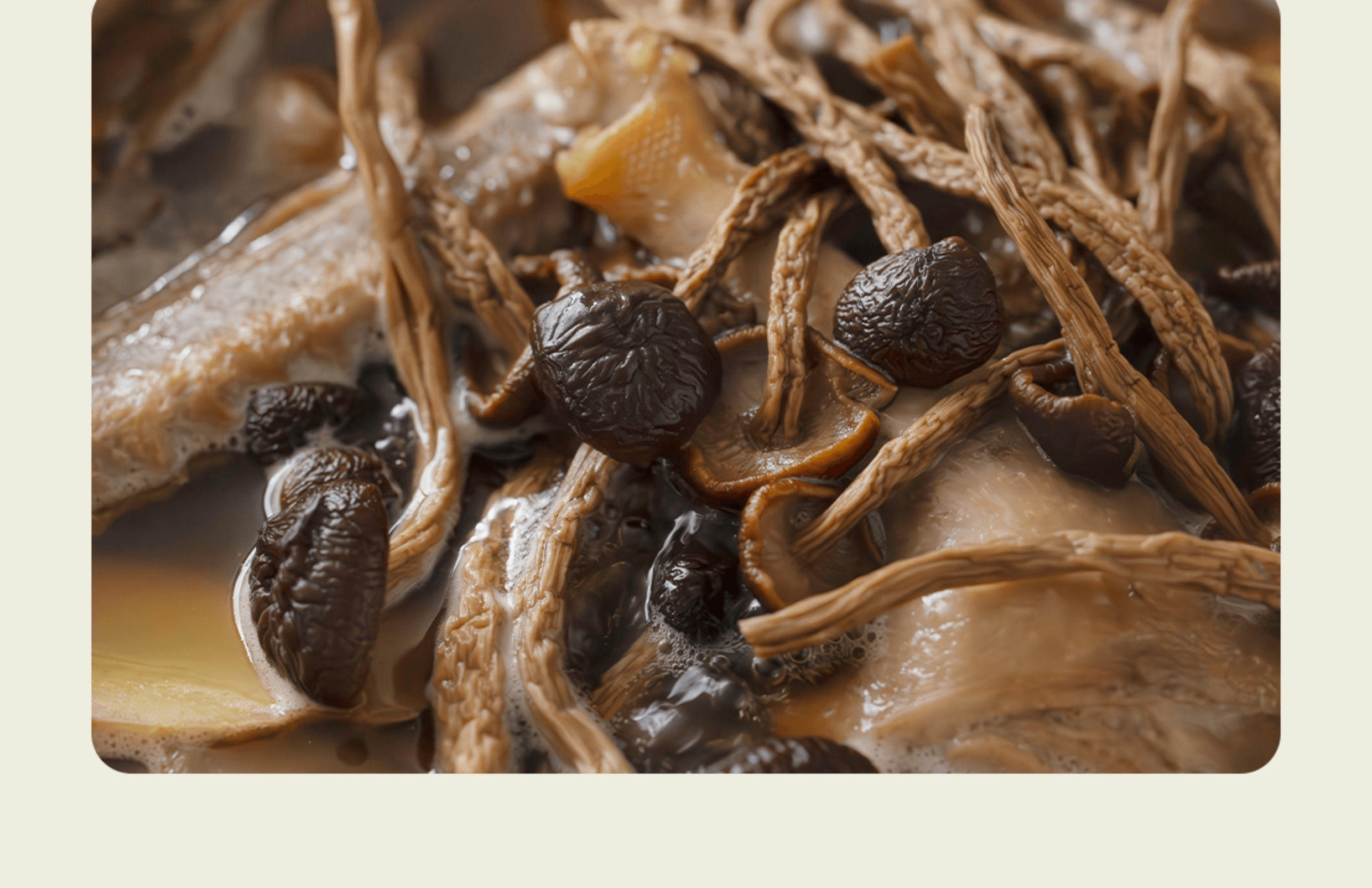 【中國直郵】 南食召 茶樹菇菌香鮮濃嫩滑新鮮茶樹菇乾貨菌菇80g*1袋