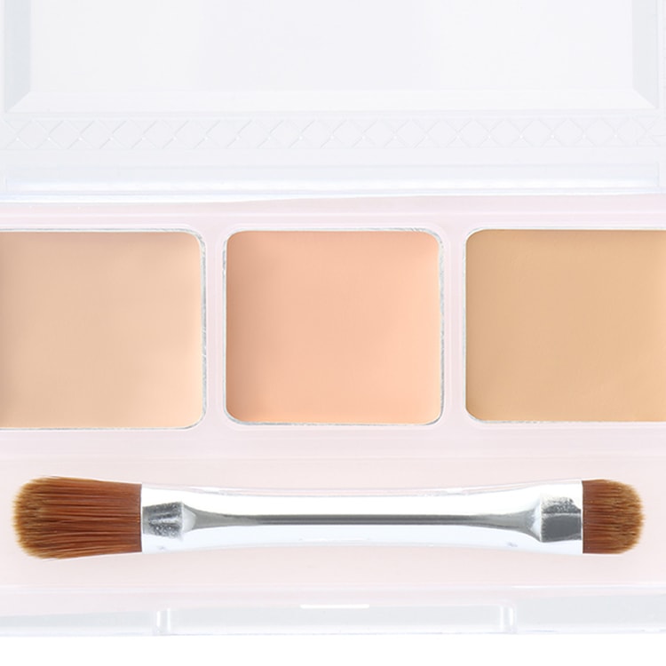 CEZANNE Palette Concealer 13g - Yamibuy.com