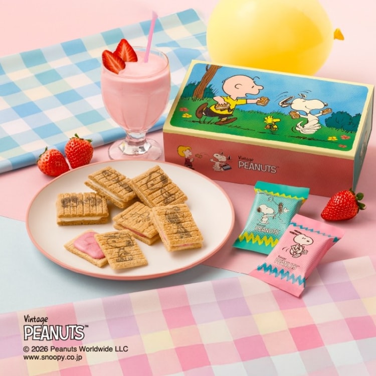 Snoopy × Assortment 12-Piece Box (with Strawberry Shake Flavor