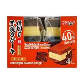 Teyaki Cake Choco Flavor, 16.9 oz