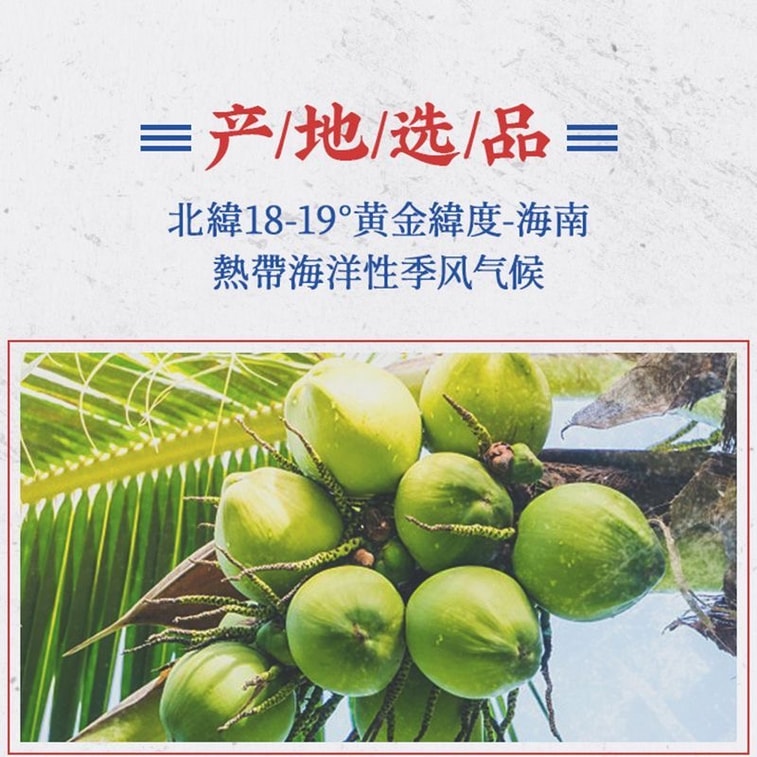 サウスランド【超強力ココナッツキャンディ - 口が渇いたらどうぞ】伝統的な懐かしのココナッツキャンディ 200g * 1袋 ハードキャンディ 12